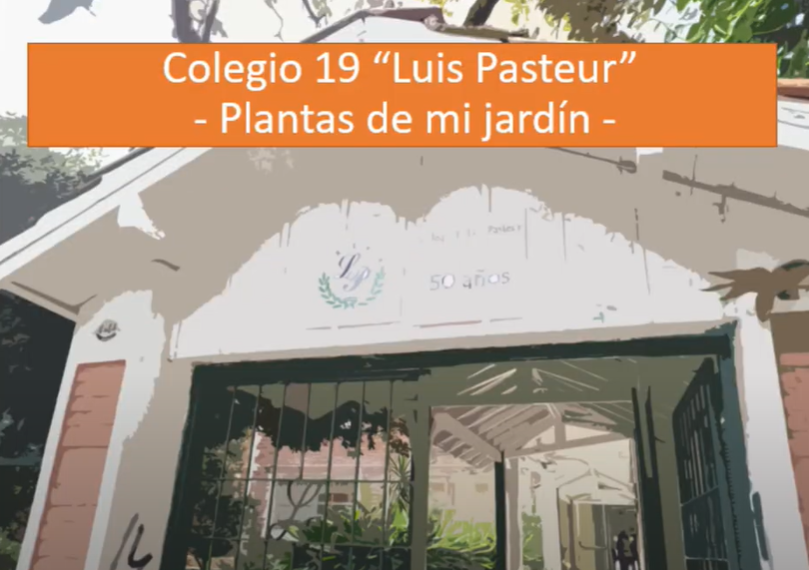 Las plantas de mi jardín